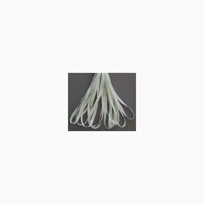 SR4-137A - Rosebud Green