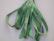 SR7-016 - Holiday Green