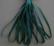 SR7-017 - Deep Blue Sea