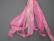 SR7-038 - Rosa Linda