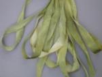 SR7-053 - Granny Smith Green