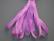 SR7-110 - Orchid