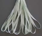 SR7-137A - Rosebud Green