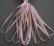 SR7-137B - Rosebud Pink
