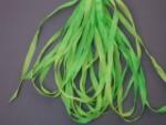SR13-099 - Spring Green