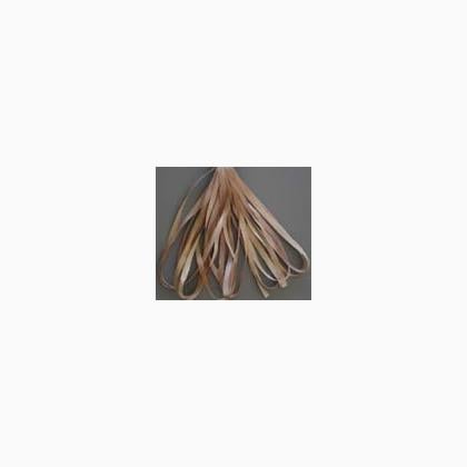 SR13-133 - Pecan