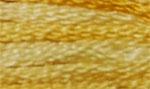 DMC Color Variation 4075