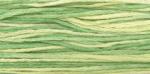 WDW 2191 Granny Smith