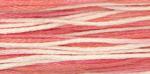 WDW 2248 Cherry Vanilla