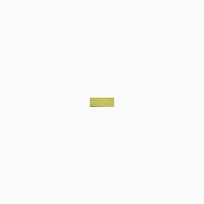 Needlepoint Silk - 241