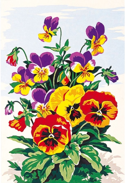 Flores: Flores de pensamiento