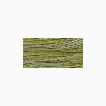 WDW 2196 Scuppernong