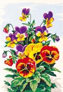 Flores: Flores de pensamiento