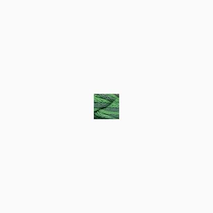 037 - Holly Green