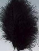 Plumas 12 cm:  marrón oscuro/negro