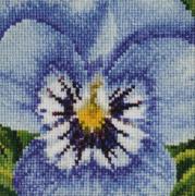 Pansy: Pale Blue and Lilac
