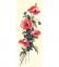 Flores silvestres II°
