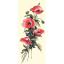 Flores silvestres II°