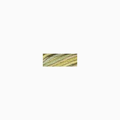 Valdani Hand-Overdyed 6 Strand - Distant Grass