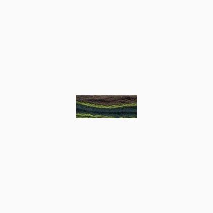 Valdani Hand-Overdyed 6 Strand - Backyard Greenfield
