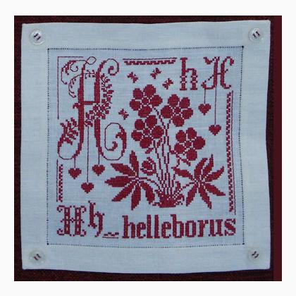 Alfabetario: H come Helleborus