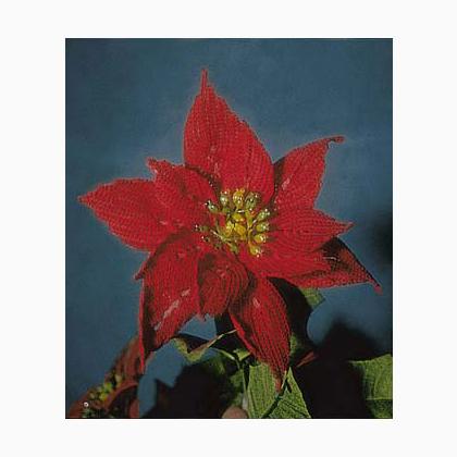 Tallo para flores de ganchillo: Estrella de Pascua