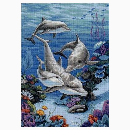 The Dolphins\' Domain