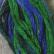 Valdani Hand-Overdyed 6 Strand - Algae