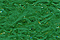 Fuzzy Stuff FZ17 - Christmas Green