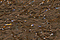 Fuzzy Stuff FZ21 - Brown
