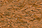 Fuzzy Stuff FZ30 - Golden Brown