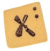 0200X - Gold Letter X