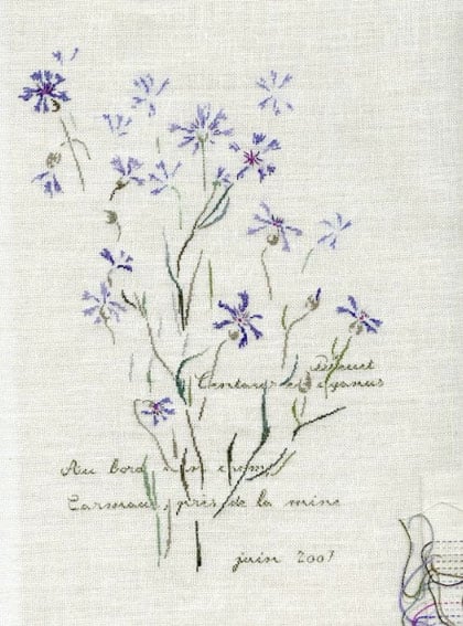 Bleuets de Carmaux