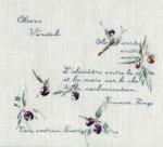 Olive Verdale de Carpentras