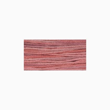 WDW Holiday Collection 4153 Berry Splash