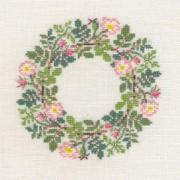 Wild rose