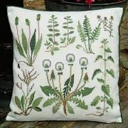 Wild Flowers 2