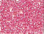Rocailles - Transp. agujero plateado 2,6mm. - Rosa