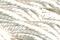 Soie Surfine - Blanc