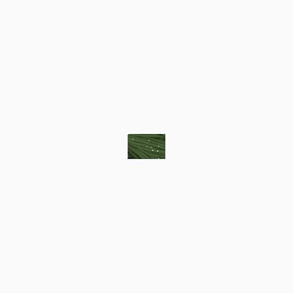 Soie Surfine - 2537