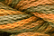 Caron Watercolours 251 - Sunflower Seed