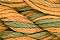 Caron Waterlillies 251 Sunflower Seed