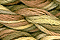 Caron Waterlillies 252 Prairie Grass