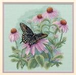 Butterfly & Daisies