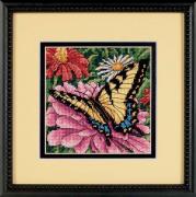 Butterfly on Zinnia