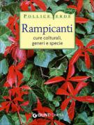Rampicanti. Cure colturali, generi e specie