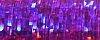 026L Punchy Purple (#8)