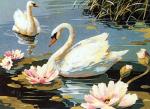 Los cisnes