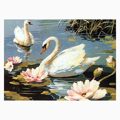 Los cisnes
