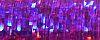026L - Punchy Purple (#12)